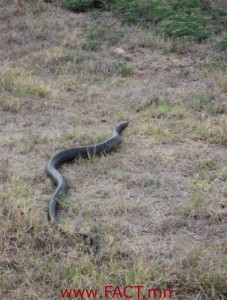 07-itrsquos_time_to_eat_part_2