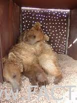 58өаөббөбөбө