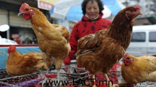 pirhayati20130404143110957