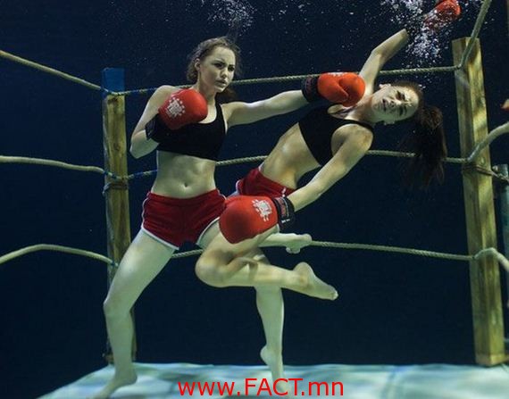 126-funny-pictures-474