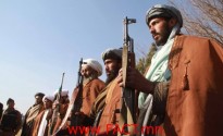 Militants surrender their weapons in Herat
