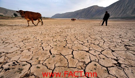 A farmer stands on dried riverbed in the drought