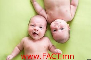 cfd25b463f09c7ba626eb6e85c0bfb74_L