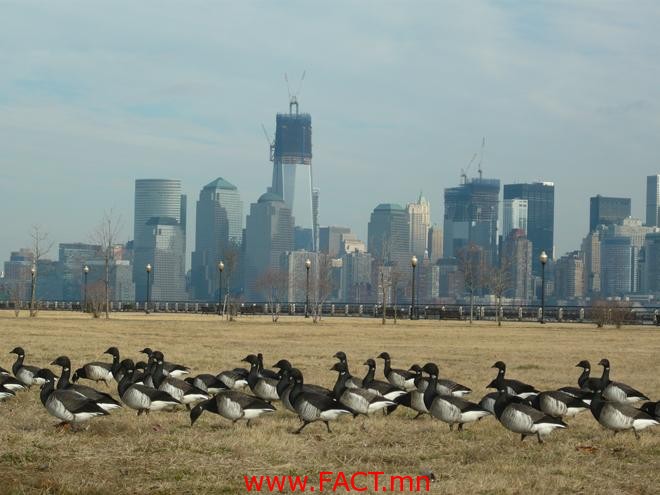 64a9ebacdb87d0c4great