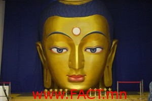 71d36971062679c6original