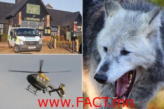 ee8a199abb060d089f2c228a491e5205_L