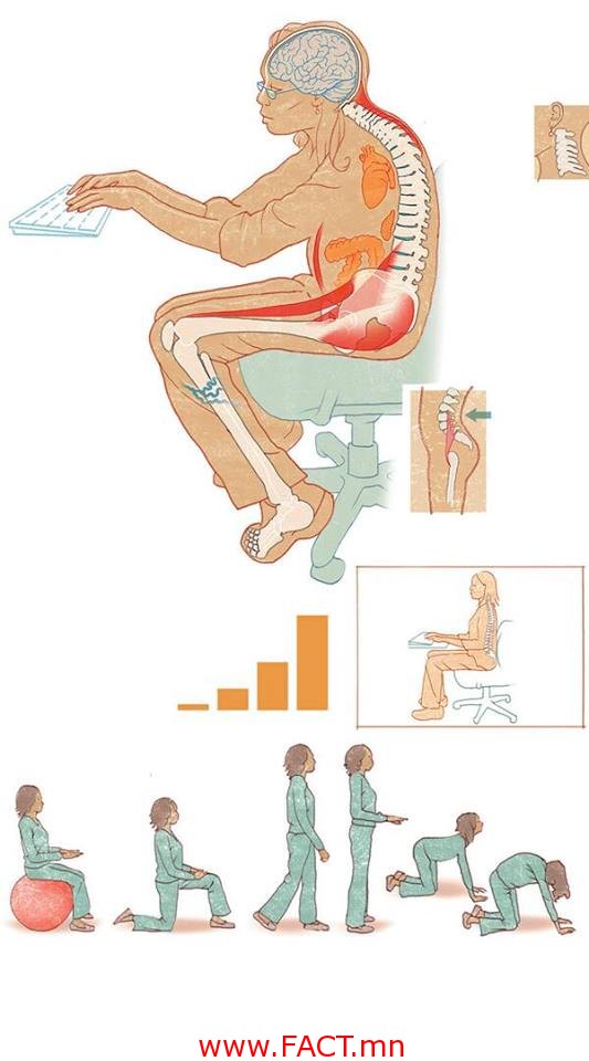 1620543_621779071220966_2125050199_n