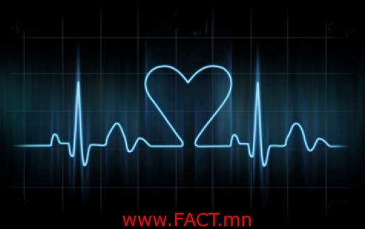 527-1366972938middle