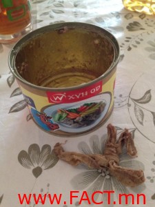 64320_10152227324194343_203881825_n