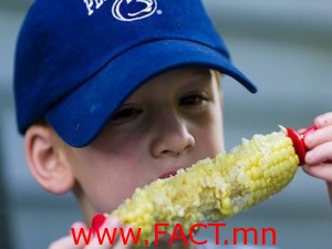 corn2