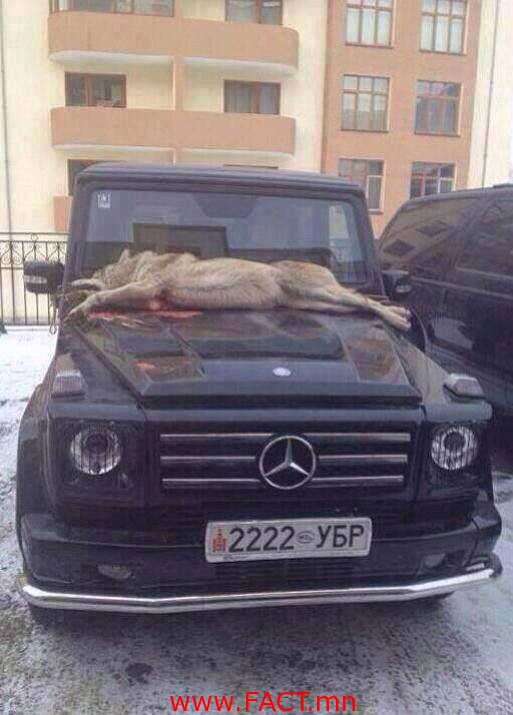 1655924_295816767210201_5176638_n