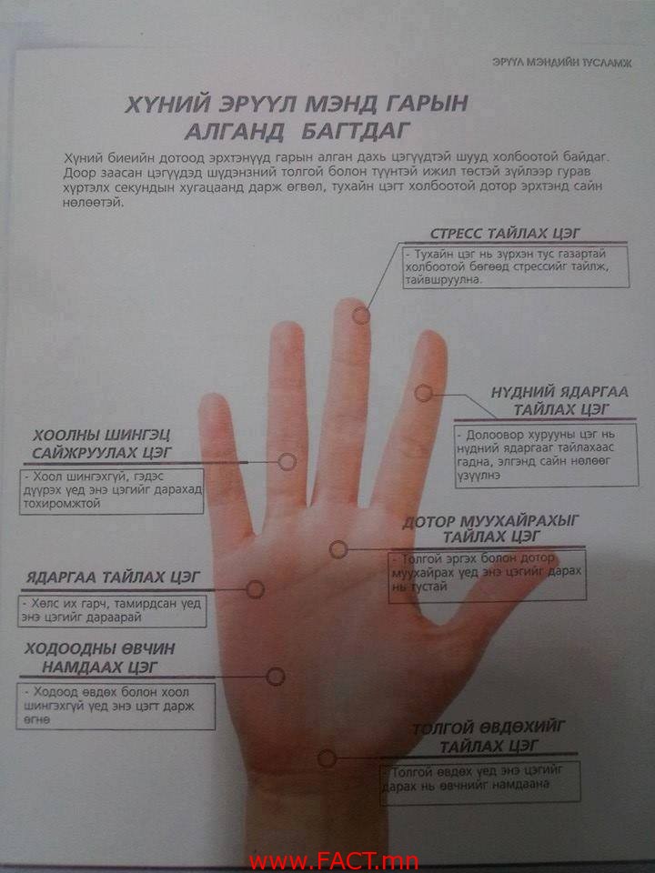 1922106_359856580819020_1507571804_n