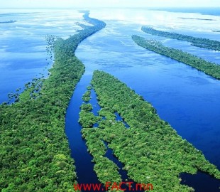 amazon-river-brazil_45174_600x450