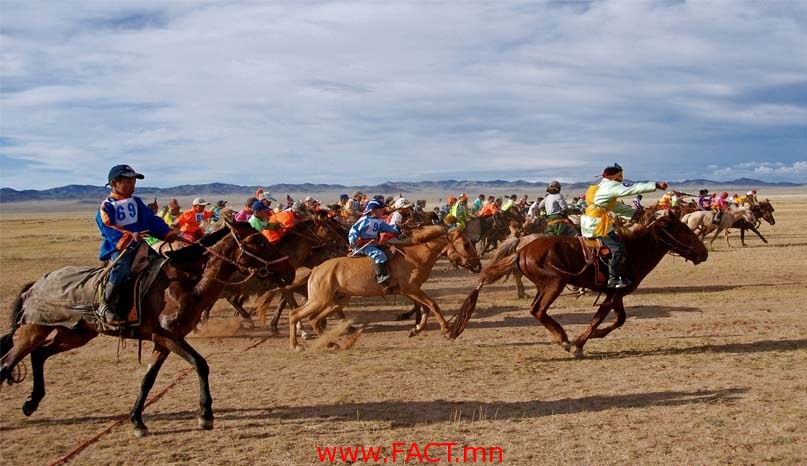 2ajd8ii06is6o44otb8oote15e