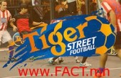Tiger Street Football-2014