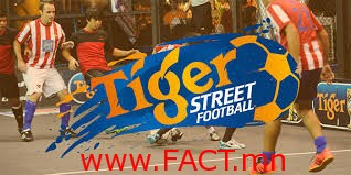 Tiger Street Football-2014