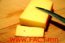 cheese-pregnant