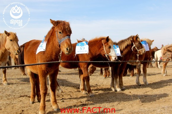 d163ce97d2a5561844375219f66b68f3