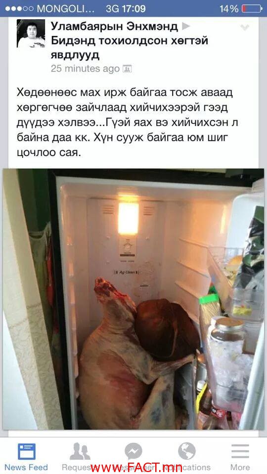 10155985_303439209862860_458764620656522093_n