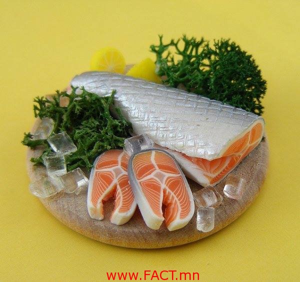 10805722_594460527375873_5406724590307491216_n