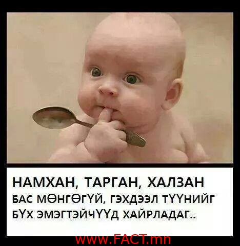 603727_309619345911513_2200355818594959537_n