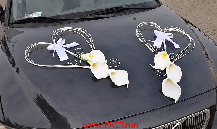 10313588_786801784725525_5365179873885480720_n