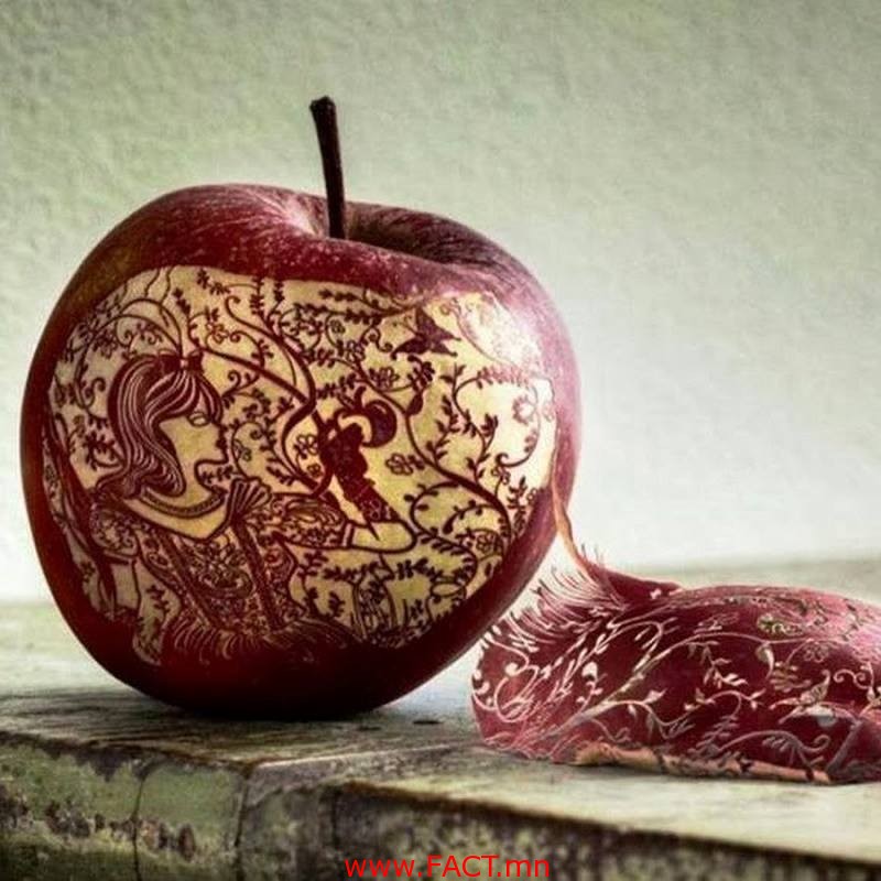 10354096_606078279547431_2772397305145023561_n