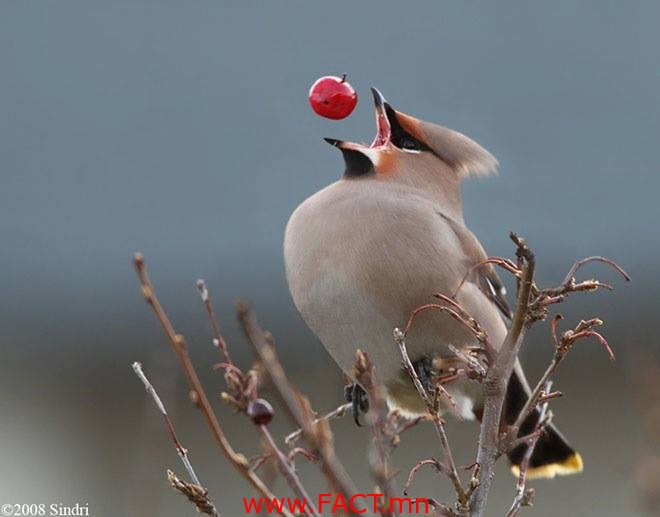 10378252_621191591336523_764092173511246303_n