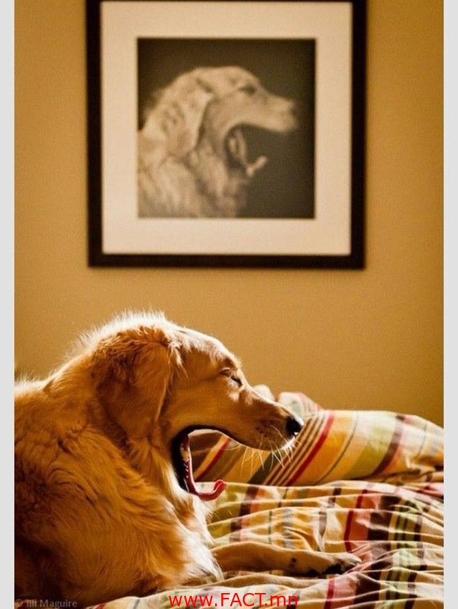 10428570_621191711336511_1567320661114930803_n