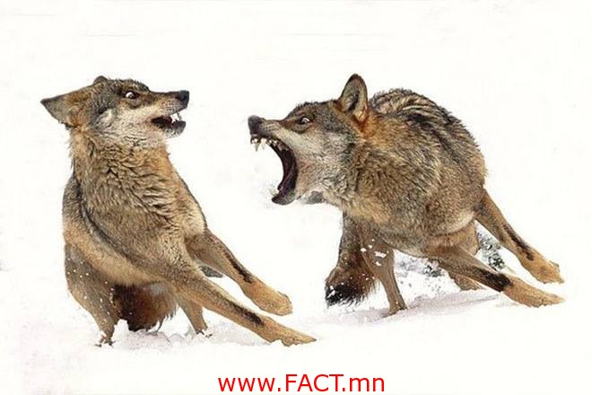 10888578_621191524669863_3563370371341305217_n