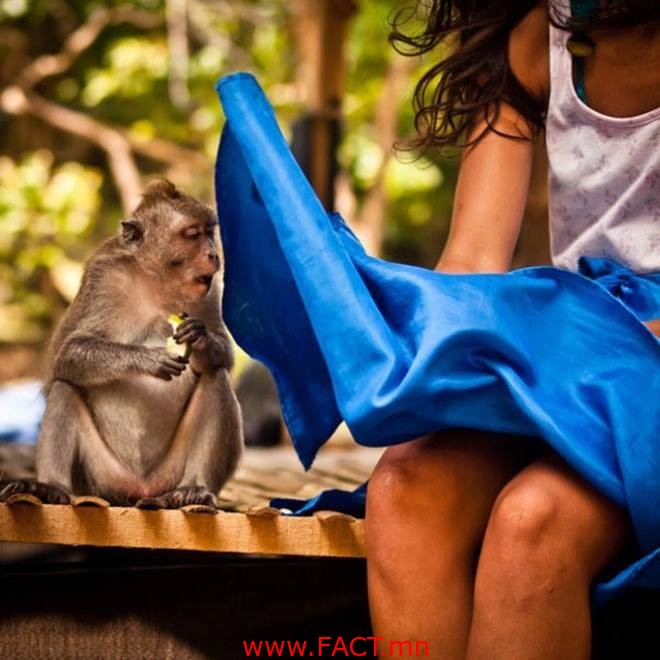 10917336_621191754669840_5157040960077343348_n