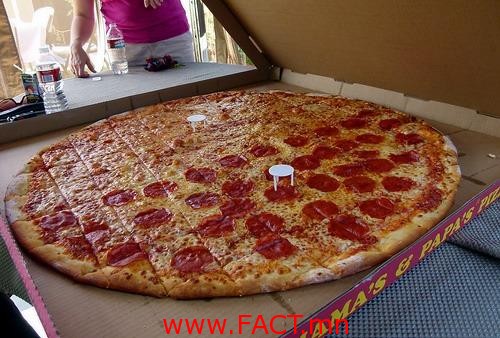 10923230_610682945753631_3191884185253129971_n