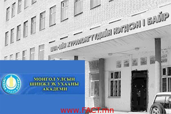 66306cb33c1cc079original