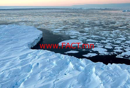 97647d3a8dbec12aoriginal