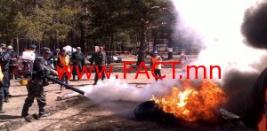 976c42ae89df75d1original