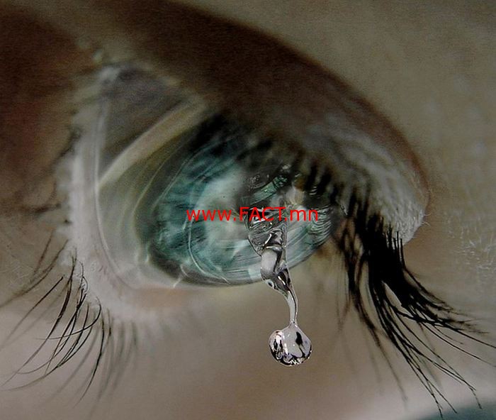 10409483_527647780680437_5519741733771613633_n_700x700