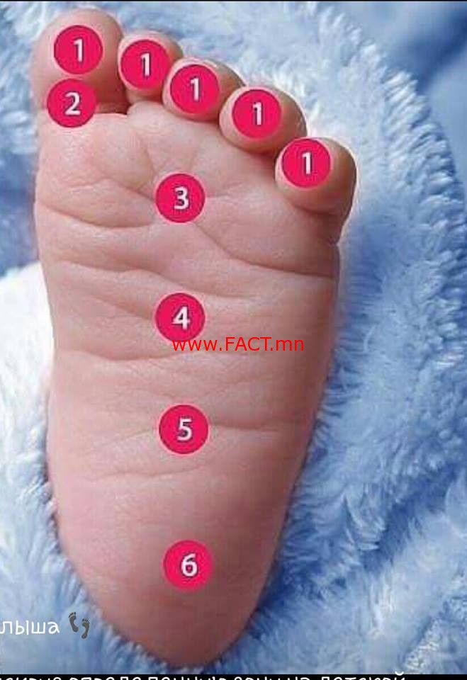 10421318_813714708700899_8848289408211090473_n