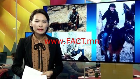 10897283_410069019167684_410068449167741_38209_2809_b