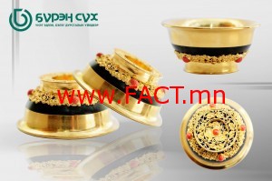 11024510_852993224758682_1902105012_o