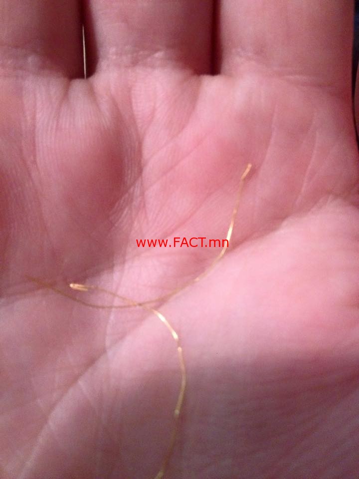 11046973_639661292832876_8414221862397103789_n