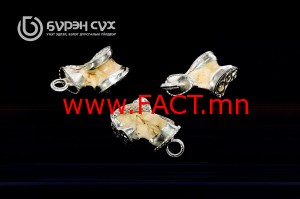 11085857_852992471425424_106479435_o