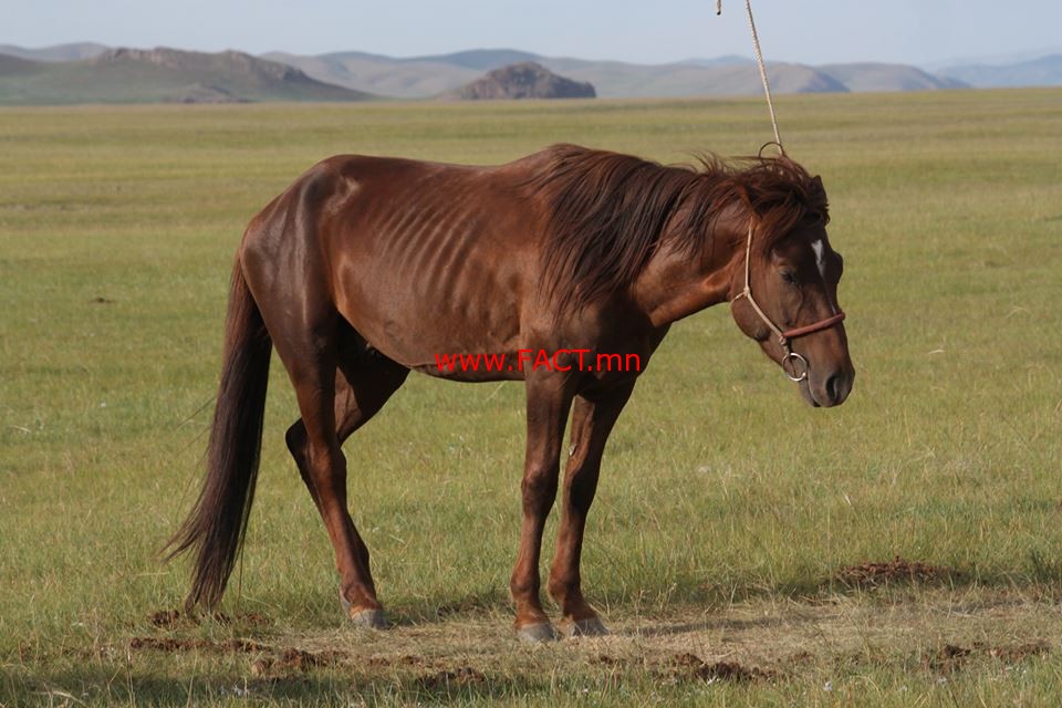 1610898_1016783331668585_2861290350774806180_n