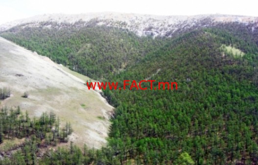 527-1425523748410799854c75d8a50e1171