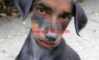 funny_dog_man_picture
