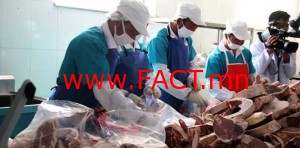 p19fjoou2oa5uh3uehnnd8b1a1