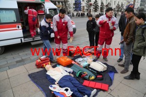 p19h23qqlc6i36tl18ijcu6156n2