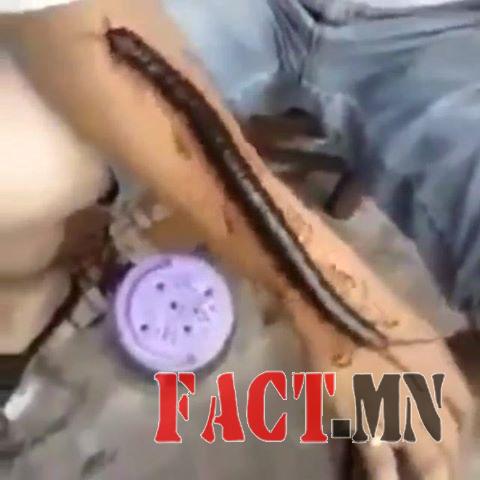 11188654_1283416861685907_2113309075_n