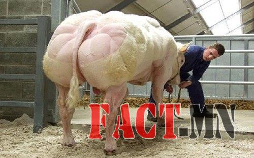 11062166_854557831280238_1861211671274989168_n