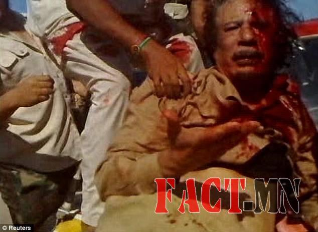 11401500_1597146070564697_6242118417436702542_n