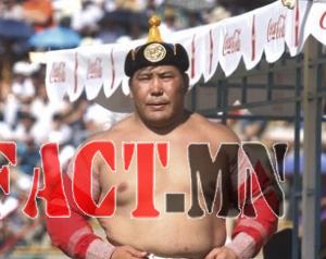 285234353c15039d696011